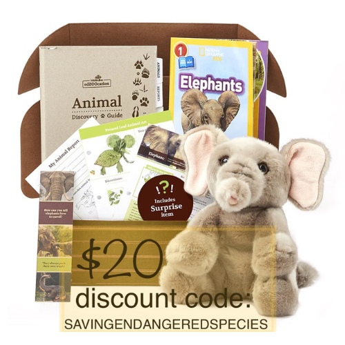 Subscription Boxes for Learning About Endangered Species