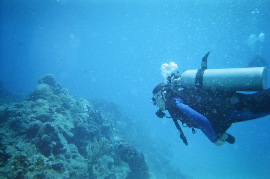 Scuba diver exploring a coral reef