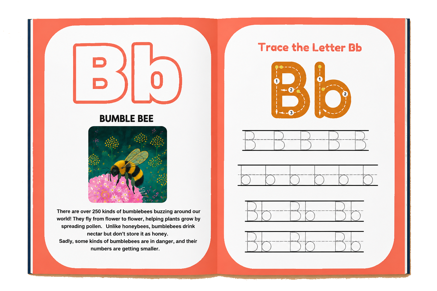 Endangered Animals Alphabet Workbook — Bb Bumble Bee tracing spread