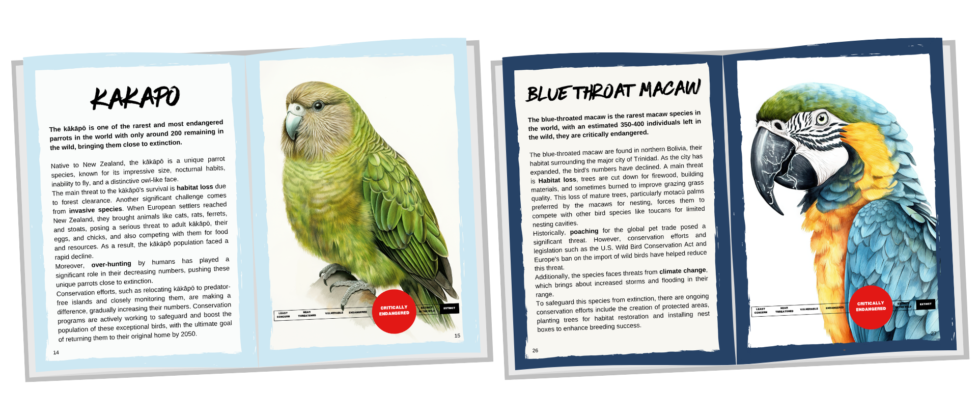 Inside pages from Our Planet's Most Endangered Birds — Kakapō and Blue-Throated Macaw spreads
