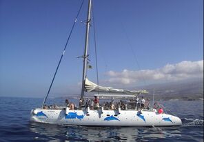 Research catamaran off Tenerife
